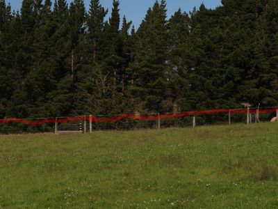 290 Old Port Road, Warepa