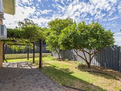 12 / 44 Tenth Avenue, Maylands