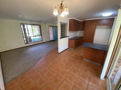 121 Ibis Boulevard, Eli Waters