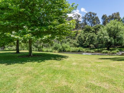 1260 Mansfield-Woods Point Road, Piries