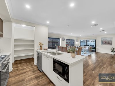 14 Walbrook Drive, Clyde North