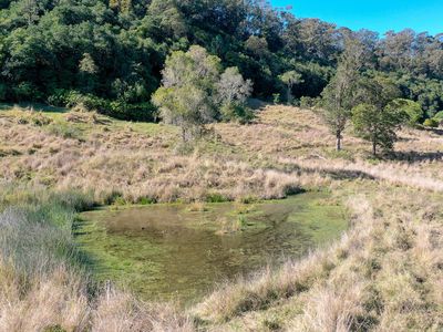 1740  Nimbin Road, Koonorigan