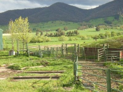 Speers Lane, Dederang