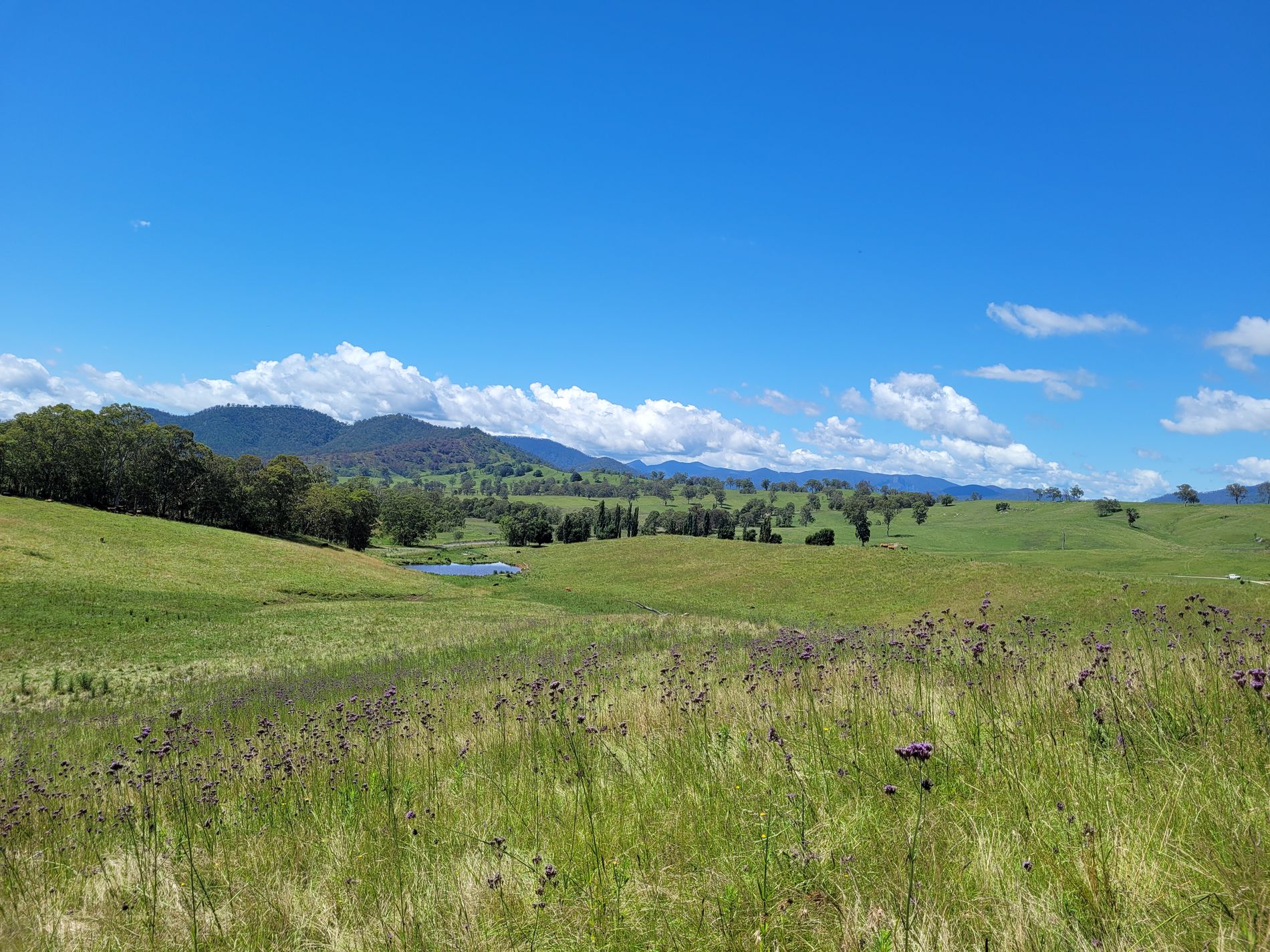 472 Neringla Road, Neringla