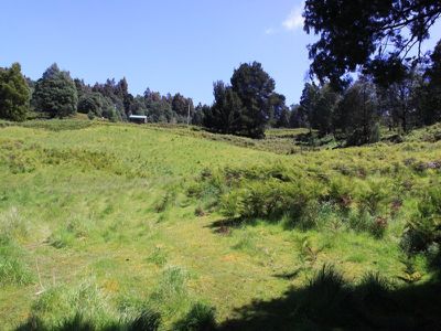 Swamp Road, Franklin