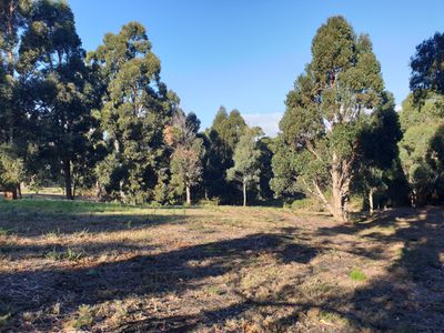 7 Amelia Street, Gordon