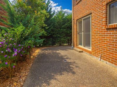 3 / 10 Platypus  Cl, Figtree