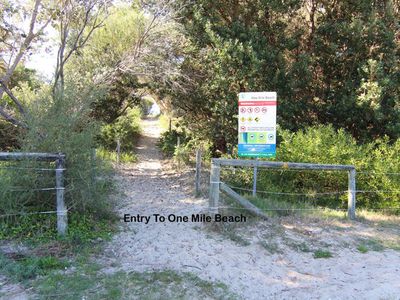 3 / 34-38 Colliton Parade, Forster