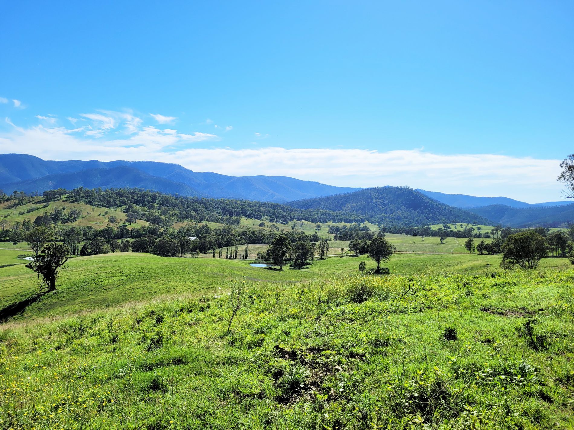 552 Neringla Road, Neringla