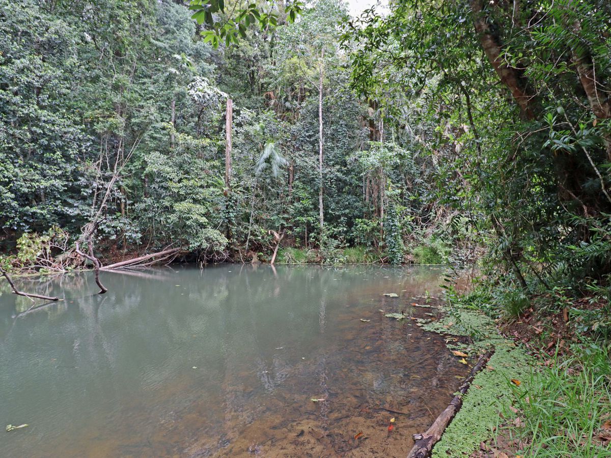 Danbulla