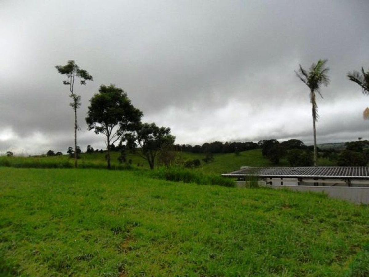 Tarzali