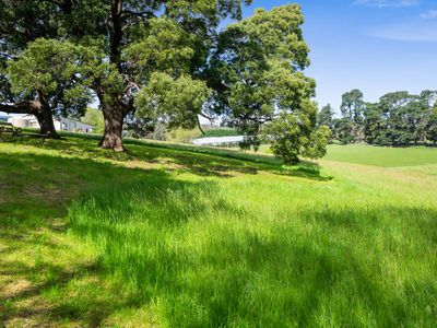 1332 Cygnet Coast Road, Lower Wattle Grove