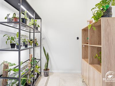 6 Boab Street , Marsden Park