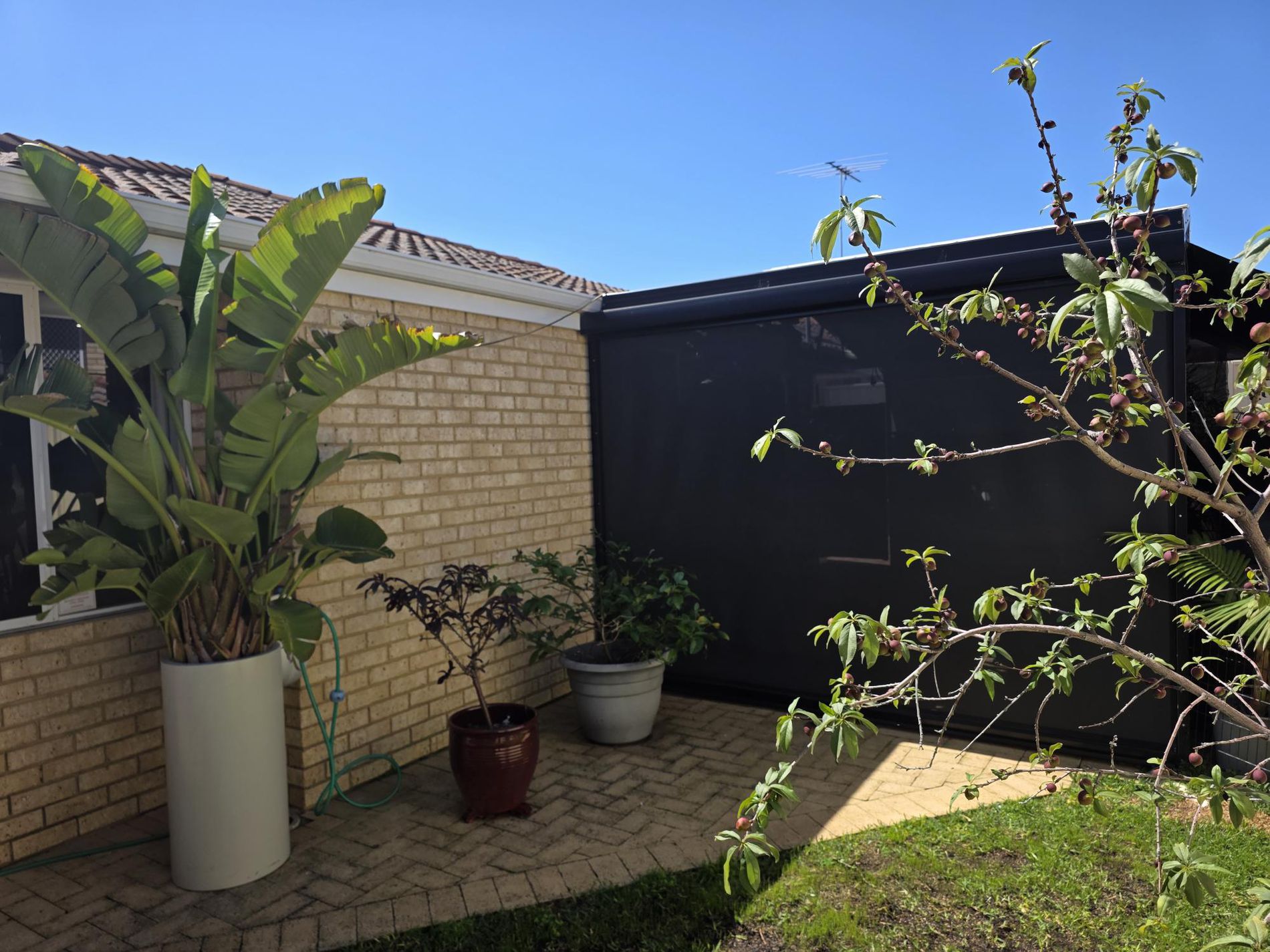 2 / 8 Kanimbla Street, Bicton
