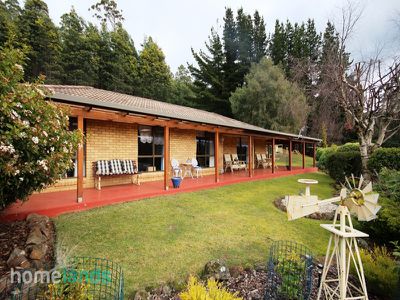 560 Pelverata Road, Kaoota