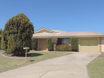 12 Boab Court, Alexander Heights