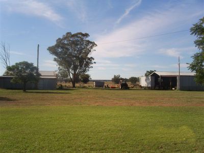 'Palmdale', 208R Mogriguy Road, Eumungerie