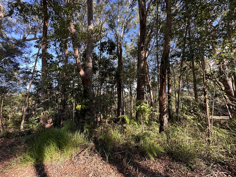 50 Dempsey Street, Russell Island
