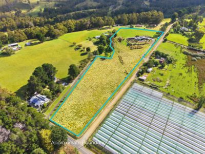 19 Gumpits Road, Birchs Bay