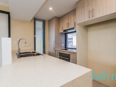 2 / 287 Walcott Street, North Perth