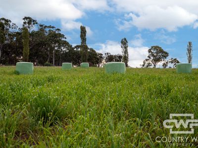 Lot Plain View South, 916 Emmaville Road, Glen Innes