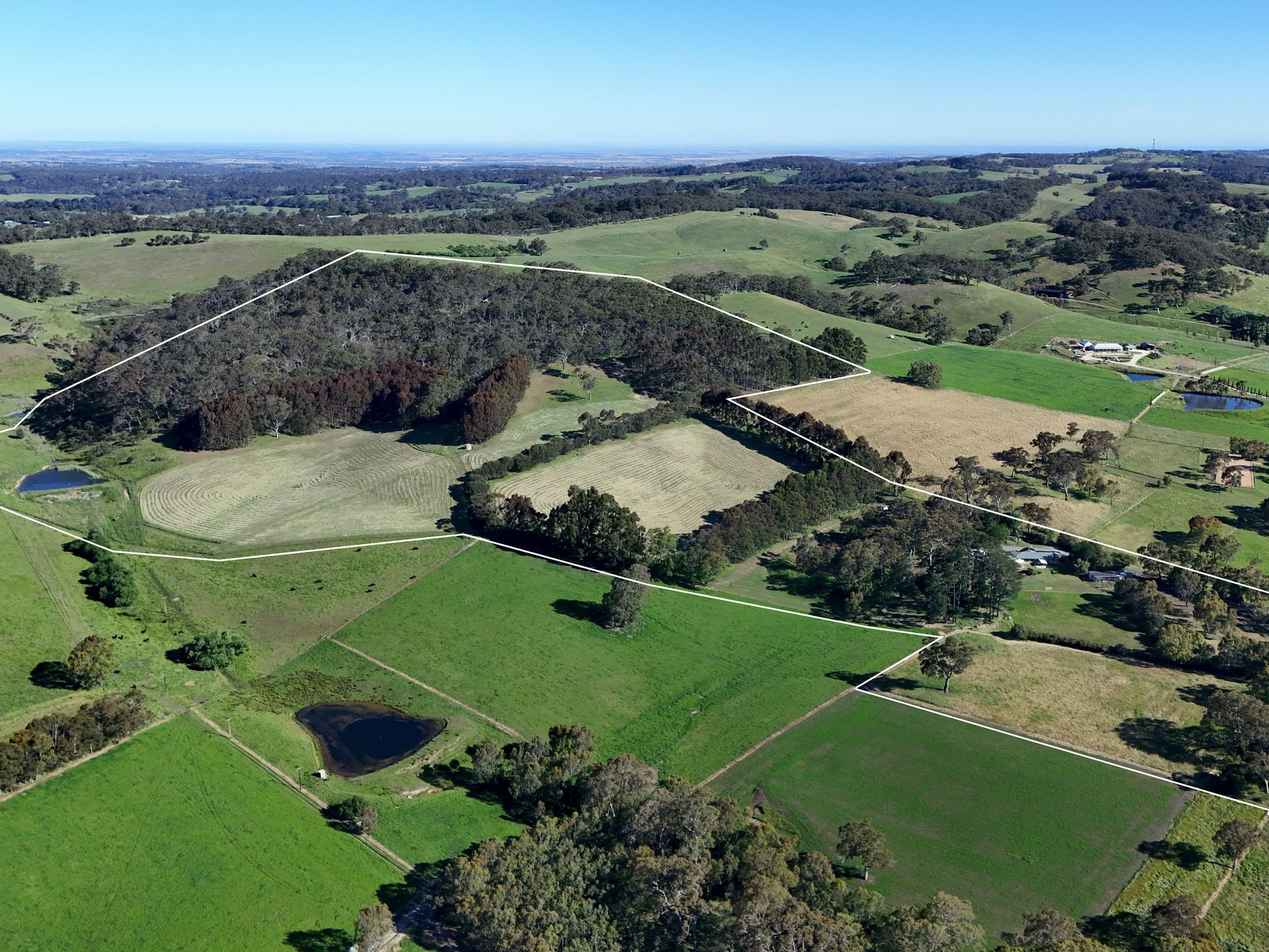 29 Rodert Road, Meadows