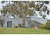 37 Curtin Road, Orange
