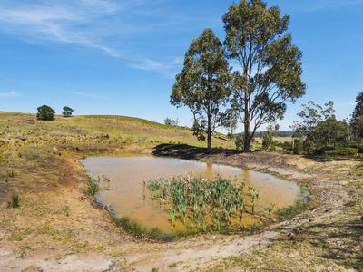 330 Sugarloaf Road, Carlton River