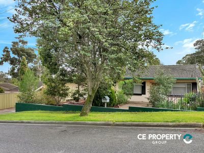 3 Brian Street, Ridgehaven