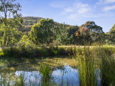 486 Mitchell Road, Tatong