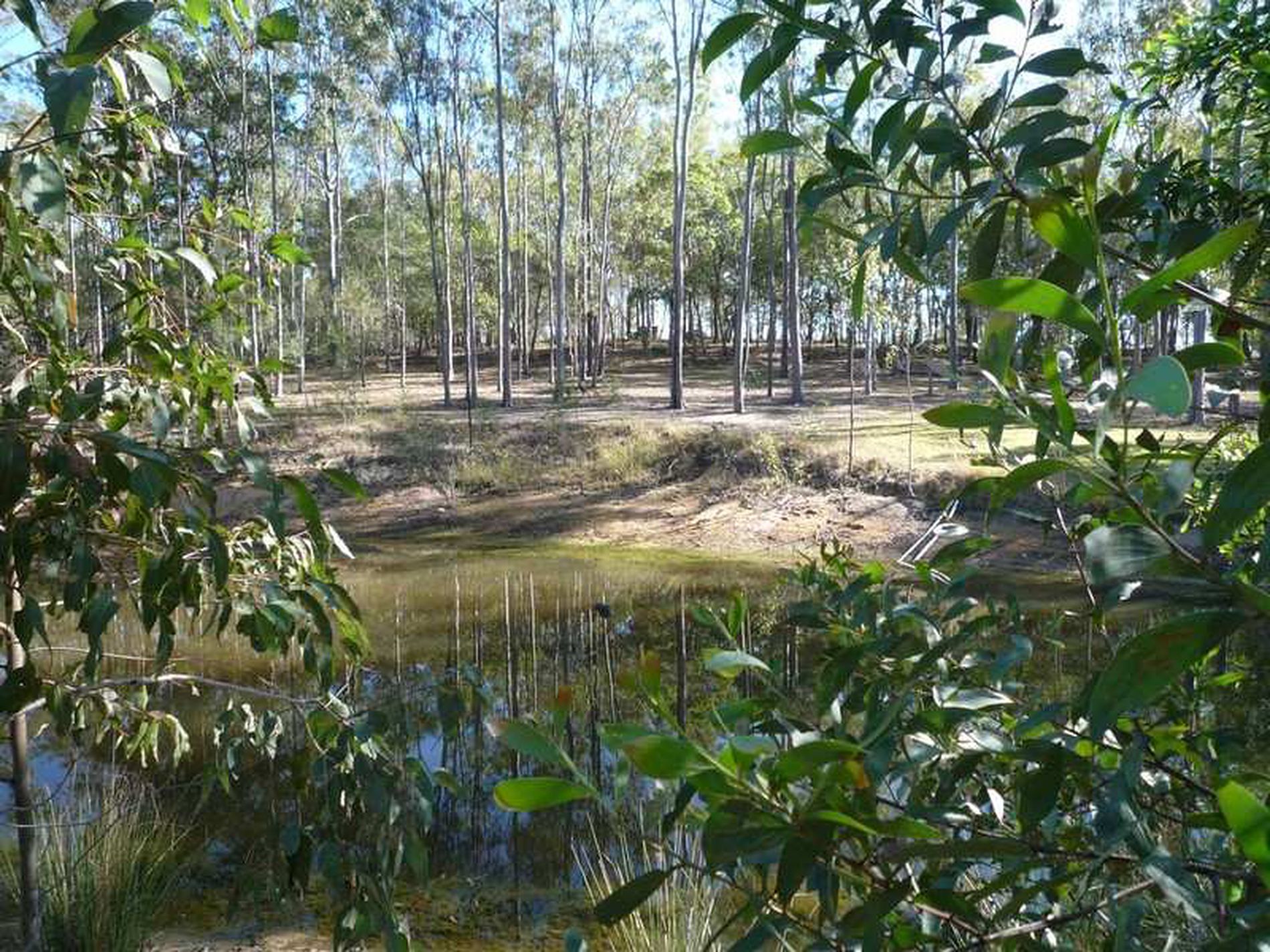 155 Gentle Annie Road, Apple Tree Creek