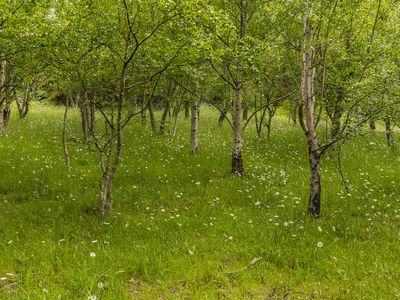 610 Mount Macedon Road, Mount Macedon