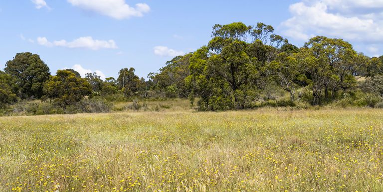 Lot 7A, Jackas Lane Creek Junction, Strathbogie