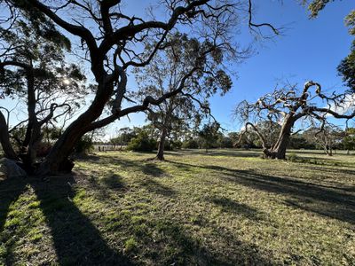 Lot 51, Corner of Blackwood Road and Banya South Road , Millicent