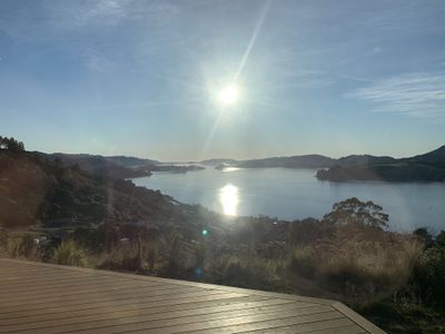 25 Kakapo Street, Saint Leonards