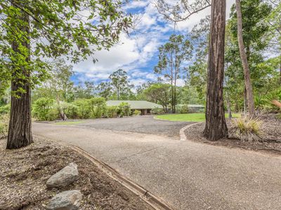 107 Velvet Street, Pine Mountain