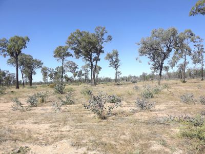 15001 Bruxner Highway, Bonshaw