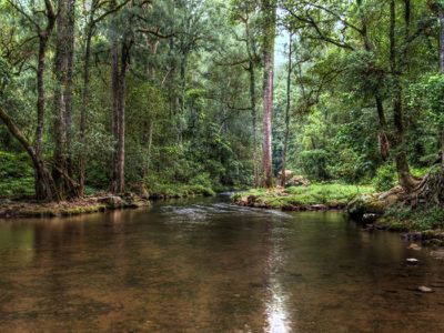 Lot 25 Lot 25 Bunkers Hill Road, Kangaroo Valley
