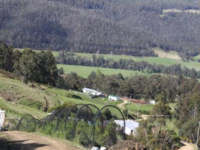 Glen Huon