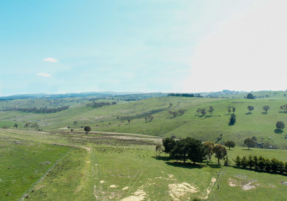 195 Dunstaffnage Road, Browns Creek