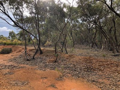 60D Mt. Kerang Road, Buckrabanyule