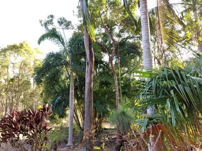 1698 Endeavour Valley Road, Cooktown