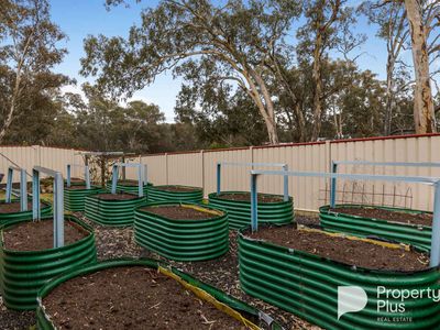 28 Eagles Road, Harcourt