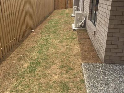 27 Voyager Terrace, Pimpama