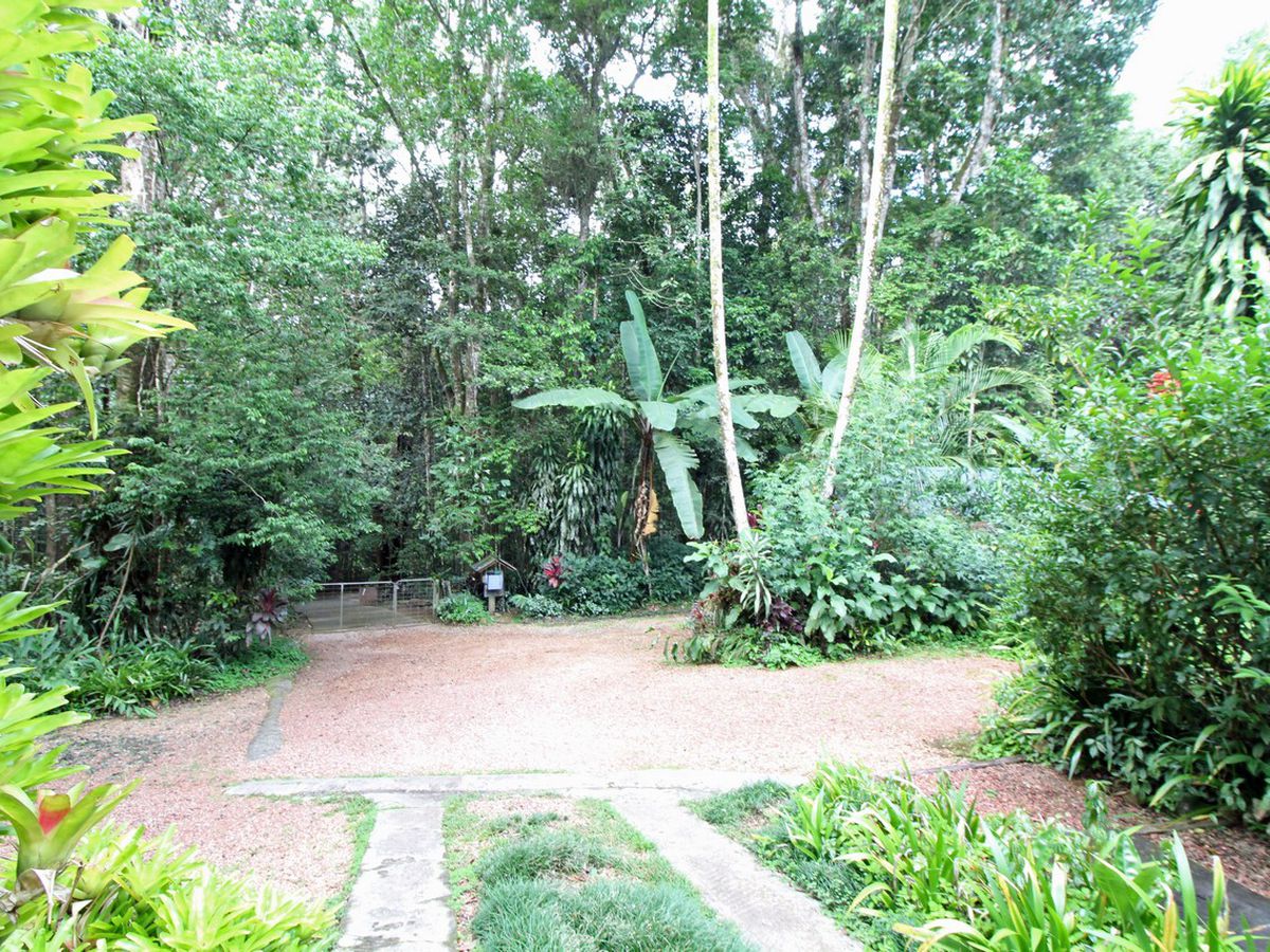 Malanda