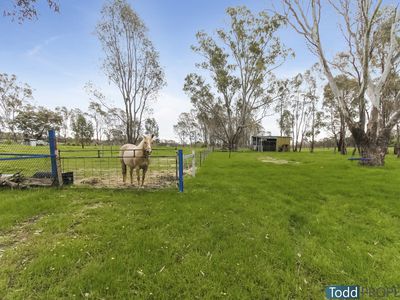 20 Shorts Lane, Heathcote