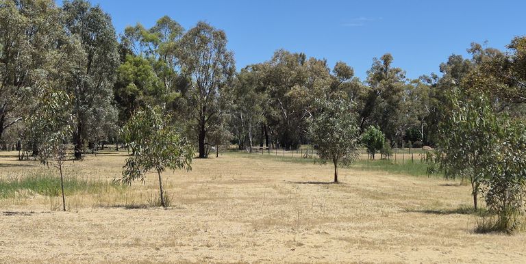 Lot 1, Irwin Street, Violet Town