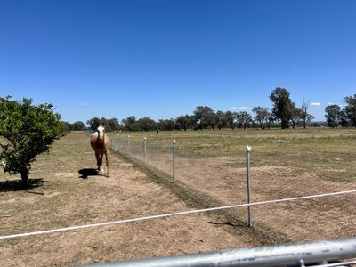 238 Jobsons Road, Culcairn