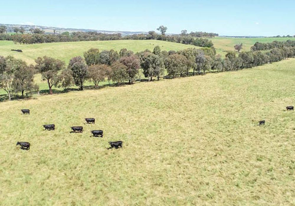 Lot 101 Strathmore Lane, Molong