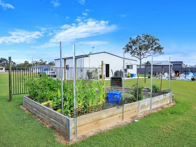 53 Kinkuna Drive, Woodgate
